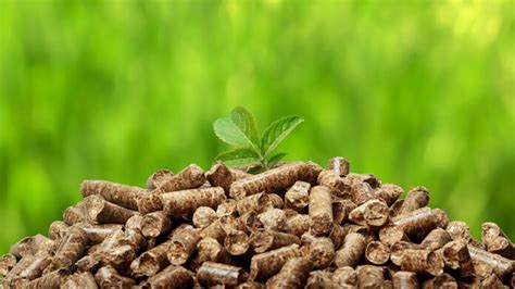 Understanding Biomass Energy The Major Pros And Cons Akt In Motion