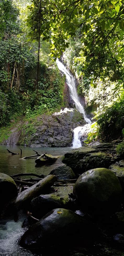 Saut De Bras De Fort Goyave 2019 Ce Qu Il Faut Savoir Pour Votre