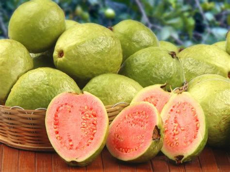 Guava: Health Benefits, Nutrition, & Uses | Organic Facts