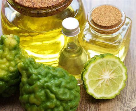 15 Amazing Benefits And Uses Of Bergamot Essential Oil