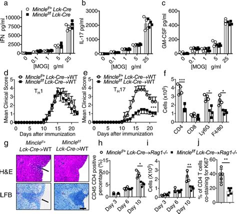 Mincle Is Required For Th Mediated Eae Progression Ac Lymph Nodes