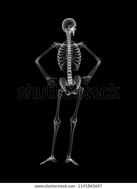 X Ray Human Body 3d Render Stock Illustration 1141863647 Shutterstock