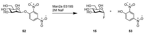 Molecules Free Full Text Synthesis Of Glycosides By Glycosynthases