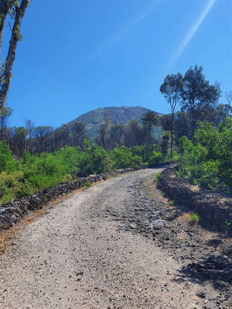 Sabato 9 Luglio 2022 Bee Hotel Al Parco Nazionale Del Vesuvio