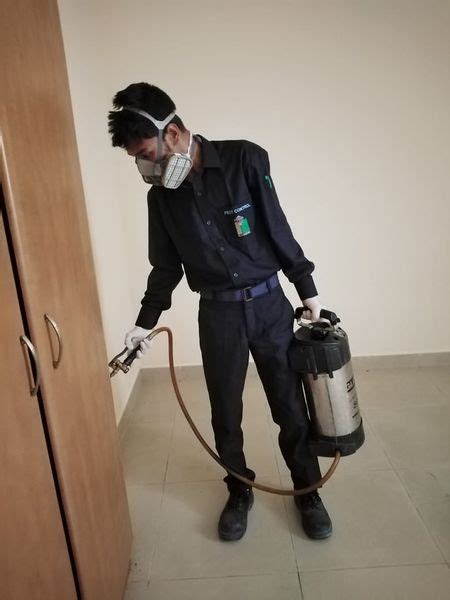 Pest Control Services In Dubai Uae