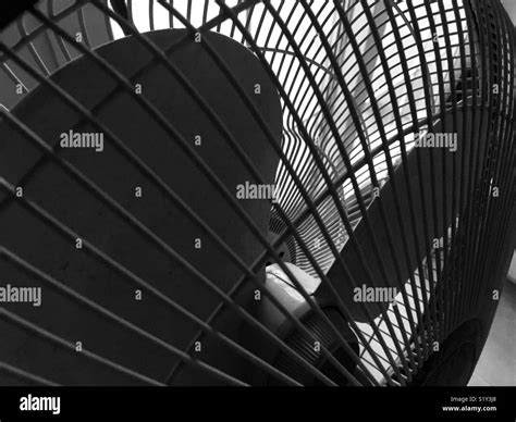 Black and White Fan Stock Photo - Alamy