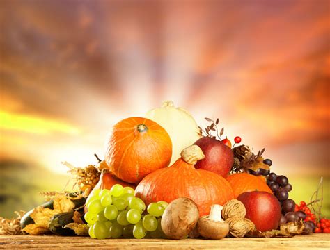 Autumn Fruits Wallpapers - Wallpaper Cave