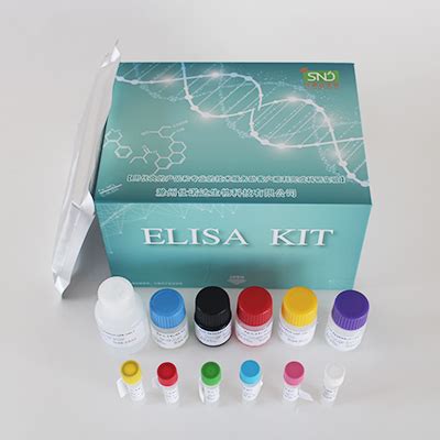 Mouse Ifn Elisa Kit Ifn Elisa