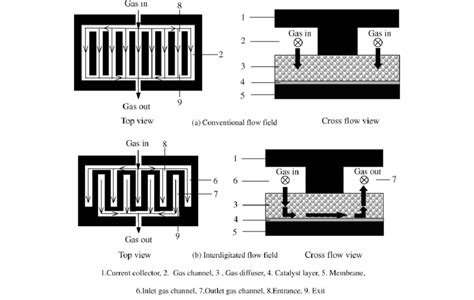 Schematic Diagram Of Pem Fuel Cells With Conventional And Download