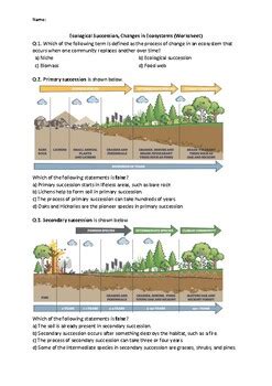 Ecological Succession Changes In Ecosystems Worksheet Easel