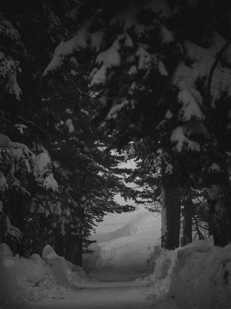 Visit Mammoth - Visit Mammoth added a new photo — at Visit...