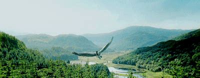 Post Ive Gotta Gay Go Go Ive Gotta Go Tumblr Tumbex