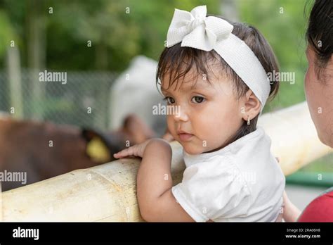 Wunderschönes braunes Latina Baby das von ihrer Mutter getragen wird sie auf dem Bambo