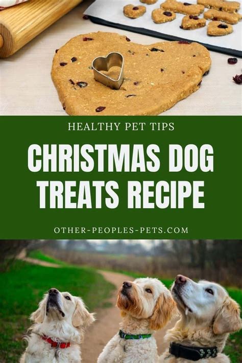 Christmas Dog Treats with Cranberries and Rolled Oats