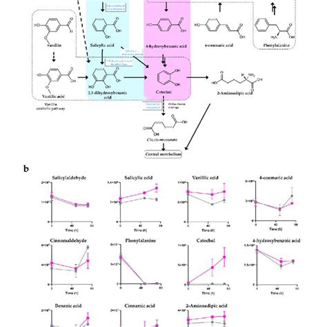 Genes Involved In Carbofuran Naphthalene Aminobenzoate Degradation