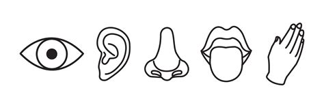 Five Human Senses Icon Set Eye Nose Ear Hand Mouth With Tongue