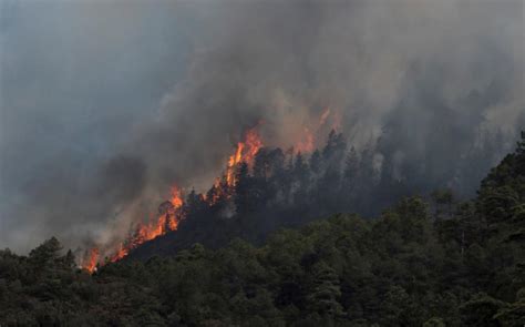 México Reporta 55 Incendios Forestales Activos