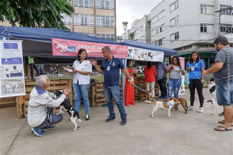 Adote um Amor COPBEA doa cinco cães na última feira de adoção de