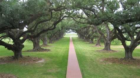 2Shoes Travel: Oak Alley: Louisiana's Premier Antebellum Mansion