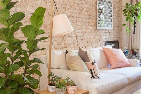 Decora O Plantas Na Rea Interna Inspire Se Em Ideias Lindas