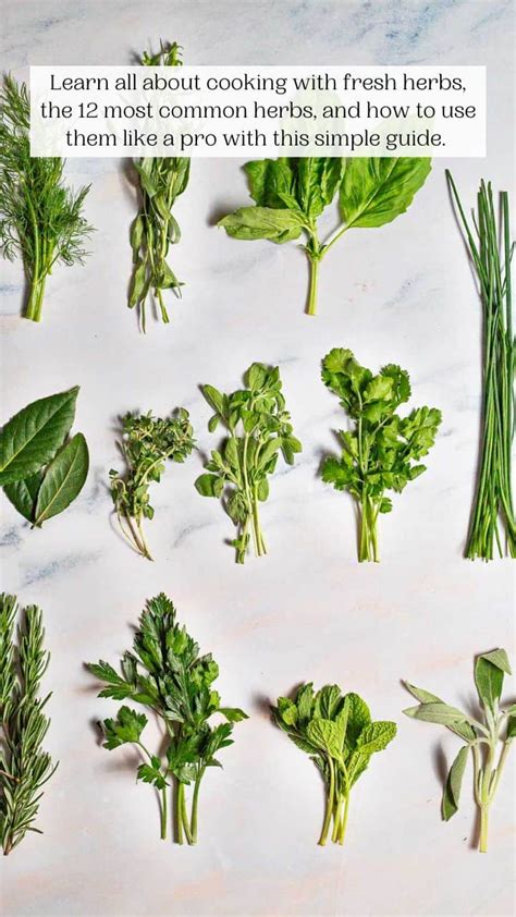 These 12 Fresh Herbs will Transform Your Simple Meals - The Mediterranean Dish