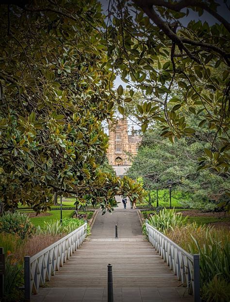 Sydney Uni from Victoria Park : r/sydney