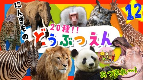 【どうぶつ知育アニメ 】動物園へ行こう！part12【赤ちゃん 子供向け 】キリン ライオン パンダなど どうぶつえんで人気の動物が20種