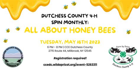 Cornell Cooperative Extension 4 H Spin Monthly All About Honey Bees