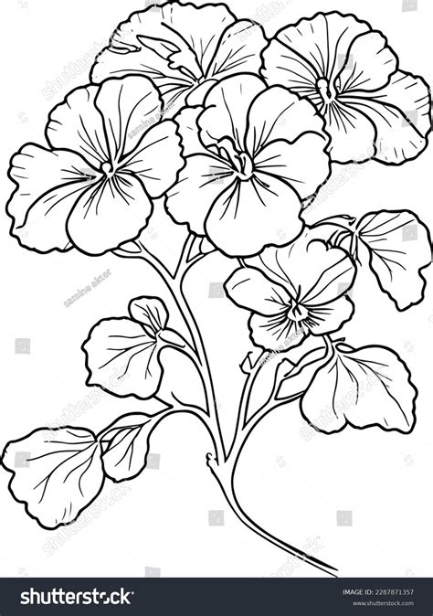 Simple Flower Coloring Pages Coloring Pages Stock Vector Royalty Free