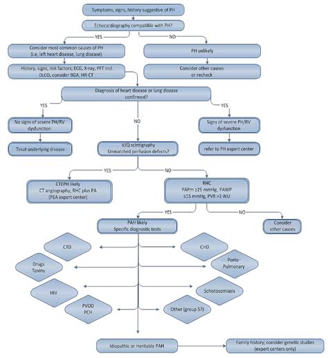 Treatment Algorithm For Pulmonary Arterial Hypertension Patients 5B3