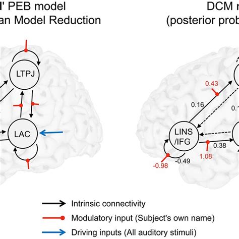 The Modulatory Effect Of SON On Effective Connectivity A A Scheme Of