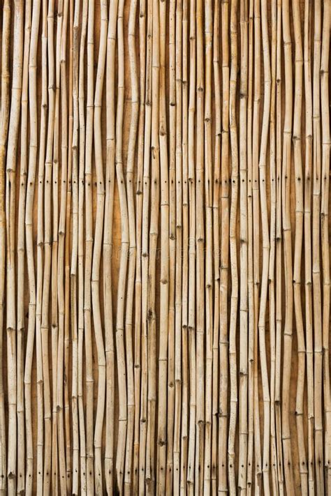 Background Of A Bamboo Fence With Bamboo Leaves Stock Photo Image Of