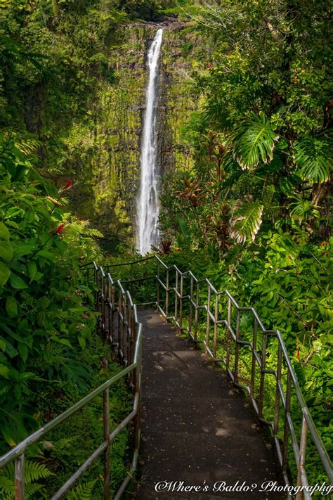 Akaka Falls State Park, USA