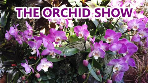 Chicago Botanic Garden Orchid Show | Fasci Garden