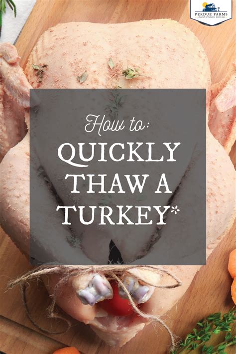 How To Quickly Thaw A Turkey Thawing Turkey Easy Thanksgiving Friendsgiving Food Ideas