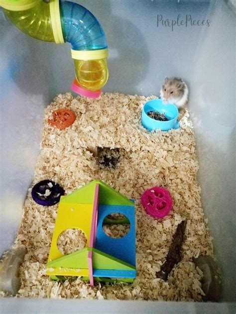 Hamster Bin Cages By Philippine Hamster Keepers