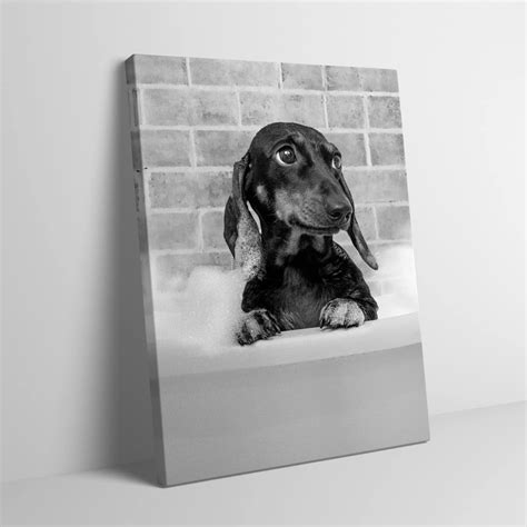 funny animal wall art for bathroom 6