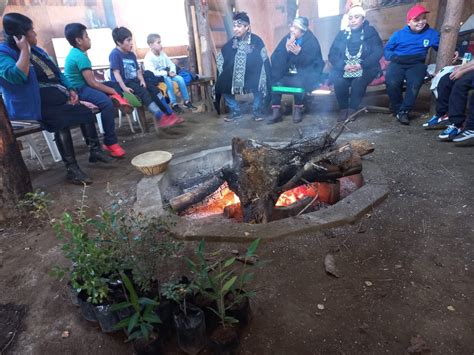 Conadi On Twitter En Coyhaique Chilkatufe De La Escuela Y Liceo