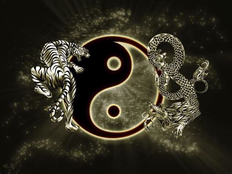 Yin Yang Dragon Tiger Art