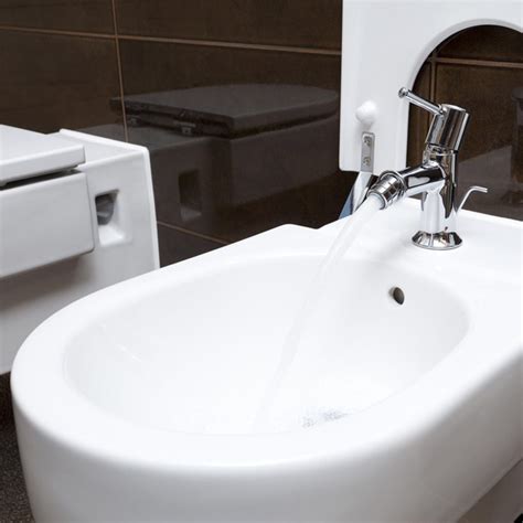 bidet  english  william santos blog