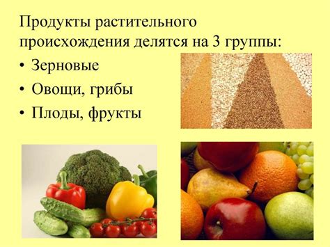 Продукты растительного происхождения, классификация, значение в питании ...