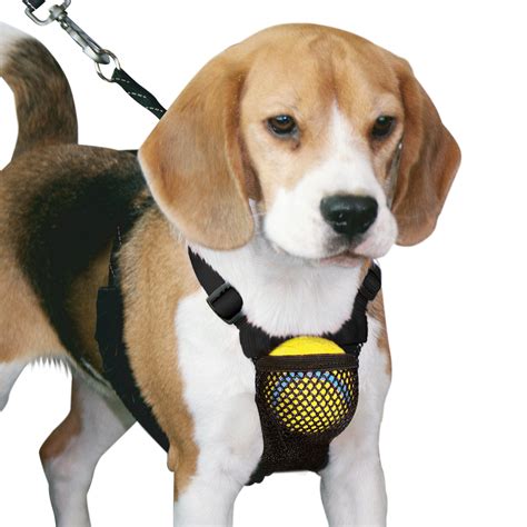 Sporn Yuppie Puppy Nylon Mesh Dog Harness, Black, M, 14-20" Chest