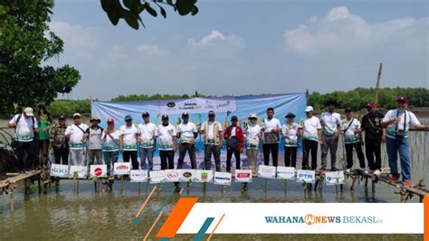 Lewat Eco Week Jababeka Ajak Tenant Kolaborasi Tanam 50 Ribu Mangrove