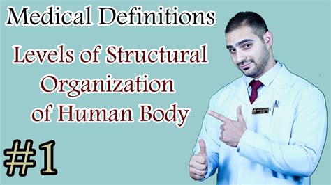 1 Medical Definitions The Levels Of Structural Organization Of The