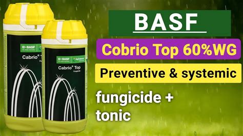 Basf Cabrio Top Fungicide Metiram Pyraclostrobin Wg Cabrio