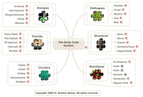 The Body Code System Chart 24 Problem Solving Body System Functions Chart