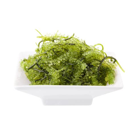Oval Sea Grapes Seaweedthe Nutritious And Delicious Umibudou A Healthy