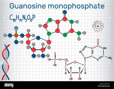 Guanosine Monophosphate Gmp Molecule Monomer In Rna Structural