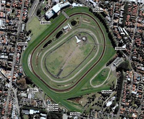 randwick race track entries picks results fan odds