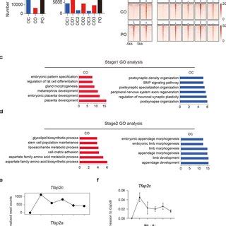 Chromatin Accessibility Dynamics For Pnt A Peaks Numbers For The Oc